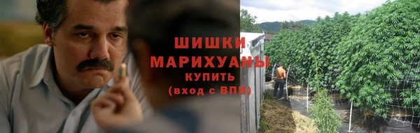 гидропоника Ладушкин