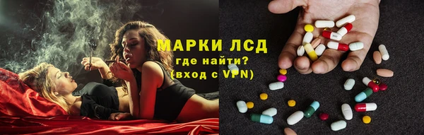 стафф Лабытнанги